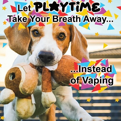 Playtime